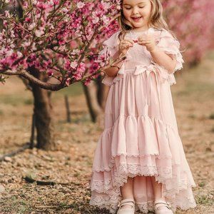 Dollcake 1000 words vintage dress nwt